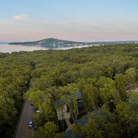 Utopia Forest Отель