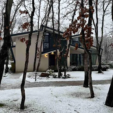 Utopia Forest